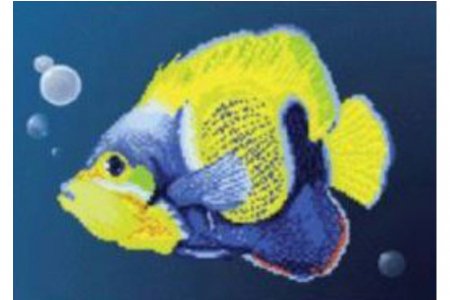 Канва с рисунком для вышивки бисером ЧАРИВНА МИТЬ Яркая рыбка, 30*22см