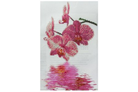 Ткань с рисунком для вышивки бисером КАРОЛИНКА Орхидеи, 17*27см