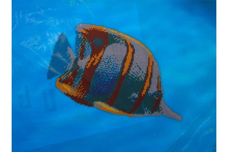 Канва с рисунком для вышивки бисером GLURIYA Морская бабочка, 40*30см
