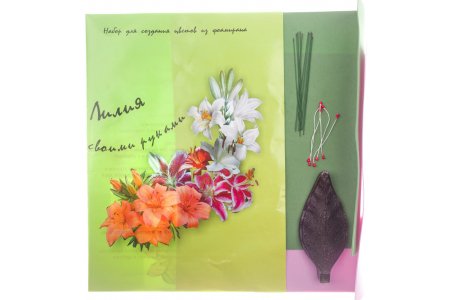 Набор для создания цветов из фоамирана Лилия, розовый/зеленый
