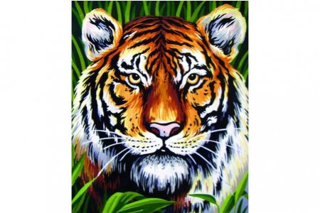 Канва с рисунком COLLECTION D*ART Взгляд тигра, 22*30см