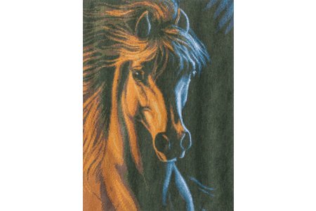 Ткань с рисунком для вышивки бисером КАРОЛИНКА Лошадь, 57*36см