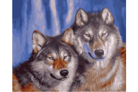 Картина по номерам ПОДСОЛНУХ Волк с волчицей, 40*50см