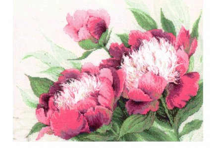 Набор для вышивания крестом Риолис Premium Розовые пионы, 40*30см