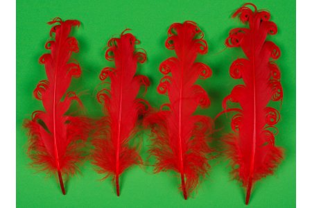 Набор перьев для декора, красный, 13,5*2см, 8шт