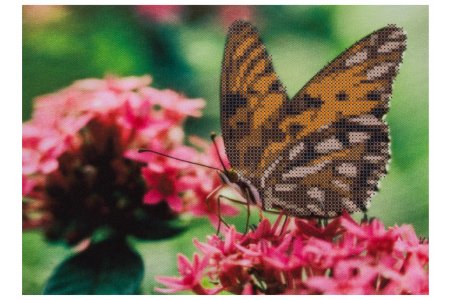 Ткань с рисунком для вышивки бисером КАРОЛИНКА Бабочка на цветке, 25*18см
