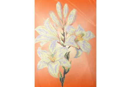 Канва с рисунком для вышивки бисером НОВА СЛОБОДА(Nova Sloboda) Тигровая лилия, 26*36см
