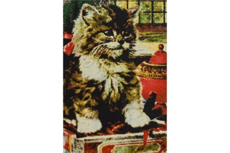 Мозаичная картина стразами АЛМАЗНАЯ ЖИВОПИСЬ Любопытный котенок, 45*65см