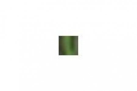 Кольцо Micron, зеленый, 6,8мм