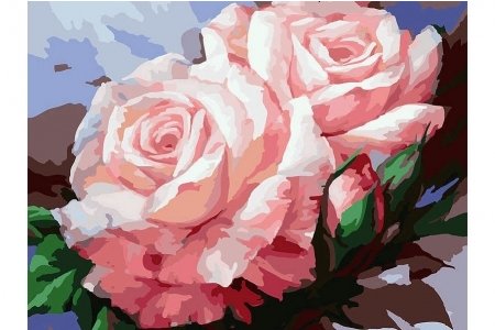 РАСПРОДАЖА Картина по номерам без красок БЕЛОСНЕЖКА Нежные розы 058-CG, 40*50см