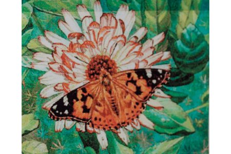 Мозаичная картина стразами АЛМАЗНАЯ ЖИВОПИСЬ Бабочка на цветке, 40*50см