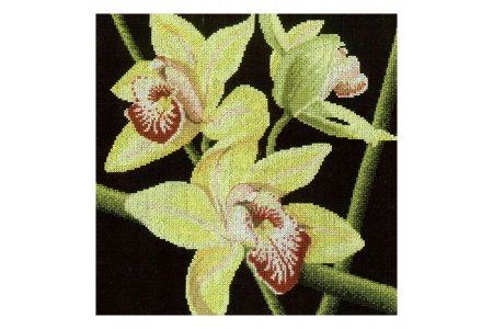 Набор для вышивания крестом РТО Орхидеи Цимбидиум, 36*36см