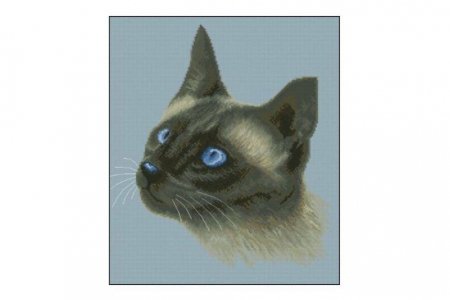 Канва с рисунком Новая Слобода Сиамская кошка, 33*33см