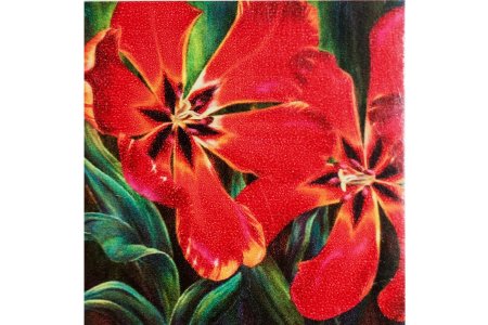 Мозаичная картина стразами АЛМАЗНАЯ ЖИВОПИСЬ Распустившийся тюльпан, 40*40см