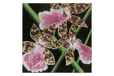Набор для вышивания крестом РТО Орхидеи Зигопеталум, 36*36см