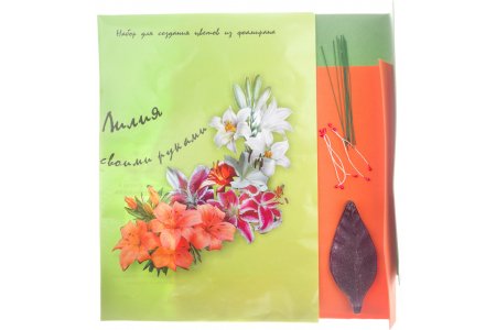 Набор для создания цветов из фоамирана Лилия, оранжевый/зеленый