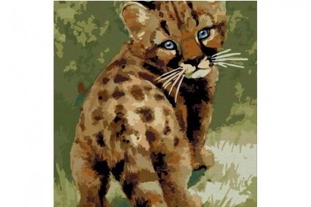 РАСПРОДАЖА Картина по номерам без красок БЕЛОСНЕЖКА Детеныш леопарда 008-CE, 30*40см