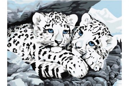 РАСПРОДАЖА Картина по номерам без красок БЕЛОСНЕЖКА Снежные леопарды 049-CE, 30*40см