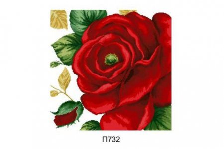 Канва с рисунком Белгород ТМ Красная роза, 50*50см
