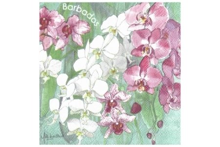Салфетка для декупажа Орхидеи барбадос , 25*25см 