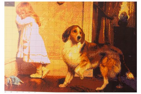 Схема для вышивки крестом цветная, Девочка и собака, 30*42см