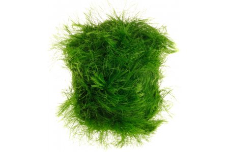 Пряжа Yarnart Tango травка зеленый (527), 100%полиамид, 80м, 100г