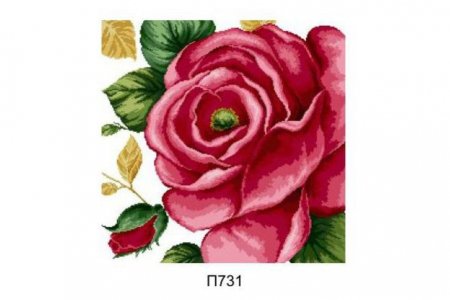 Канва с рисунком Белгород ТМ Розовая роза, 50*50см