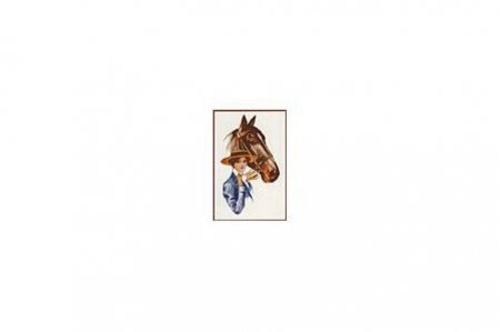 Схема для вышивки крестом цветная, Жокей и лошадь, 30*42см