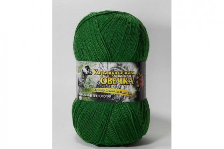 Пряжа Color City Каракульская овечка зеленый (2416), 60%шерсть ягненка/40%искусственный кашемир, 480м, 100г