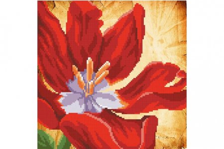 Канва с рисунком для вышивки бисером МП-студия Красный тюльпан, 23*28см