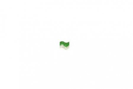 Тесьма GAMMA отделочная, Зиг-заг, зеленый/белый(06), 5мм, 1м