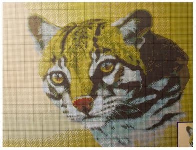 Схема для вышивки крестом цветная, Леопард, 30*42см