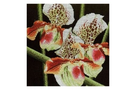 Набор для вышивания крестом РТО Орхидеи Пафиопедилум, 36*36см