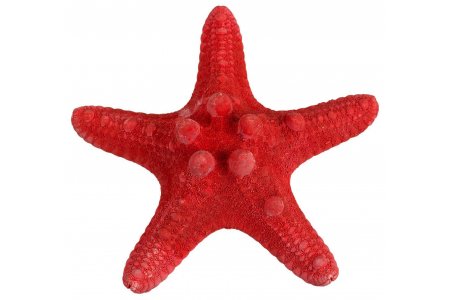 Декоративный элемент BLUMENTAG Морская звезда, красный