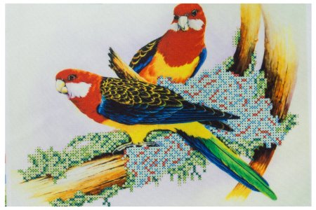 Ткань с рисунком для вышивки бисером КАРОЛИНКА Попугаи, 19*26см