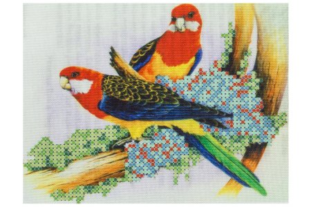 Ткань с рисунком для вышивки бисером КАРОЛИНКА Попугаи, 16*13см