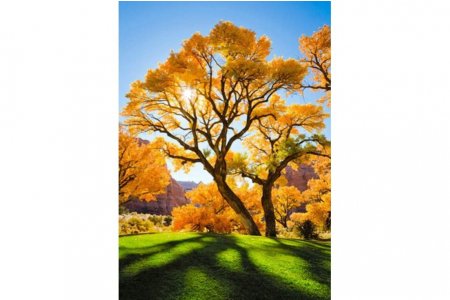 Мозаичная картина стразами АЛМАЗНАЯ ЖИВОПИСЬ Осеннее дерево