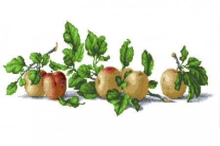Канва с рисунком для вышивки крестом КАРОЛИНКА, Натюрморт с яблоками, 21*48см