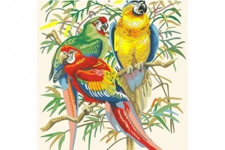 РАСПРОДАЖА Картина по номерам без красок БЕЛОСНЕЖКА Тропические попугаи 245-CE, 30*40см