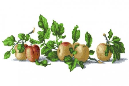 Ткань с рисунком для вышивки бисером КАРОЛИНКА Натюрморт с яблоками, 26*60см