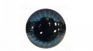 Глаза для игрушек круглые живые с лучиком, синий, d16мм, 1пара
